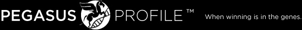 Pegasus Profile Logo