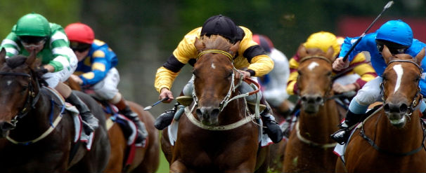 race horses in action