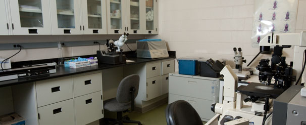 lab facilities at Pegasus Profile